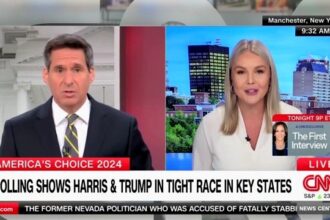 Trump spox battles CNN host over Harris as the ‘change’ candidate: She’s in White House ‘right now’