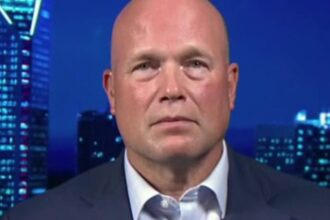 Matt Whitaker: These transnational organizations have made a 'massive resurgence' under Biden-Harris