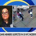 NYPD investigating teen migrant gang tied to Tren de Aragua