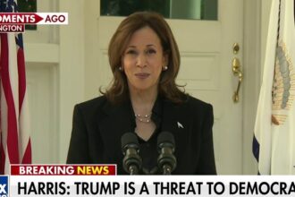 Kamala Harris attacks Trump's character: 'Increasingly unhinged and unstable'