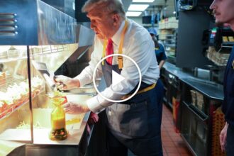 Trump Cooks and Serves Fries at a McDonald’s in Pennsylvania