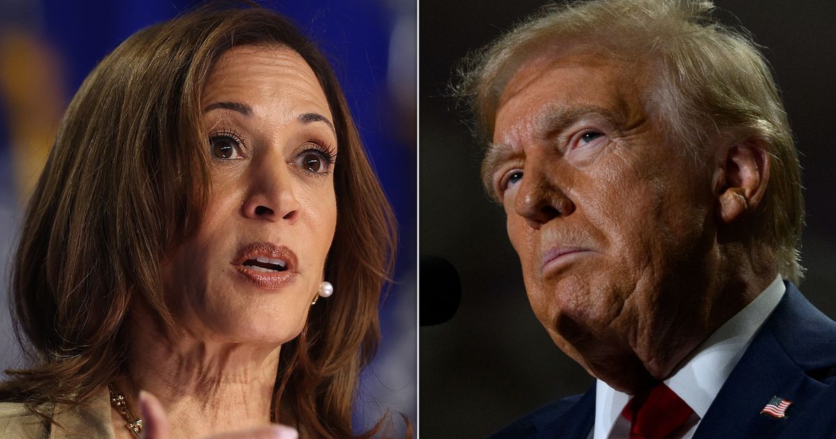 Harris Rallies, Trump Derails As Election Day Draws Closer: Latest Updates