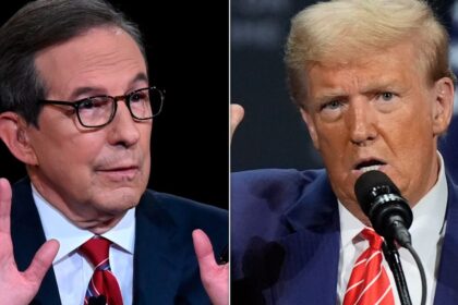 Chris Wallace Likens Donald Trump's 'Dangerous Character' To This Fictional Villain