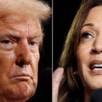 Kamala Harris Reacts To Donald Trump's 'Father Of IVF' Remark With A Searing Dig