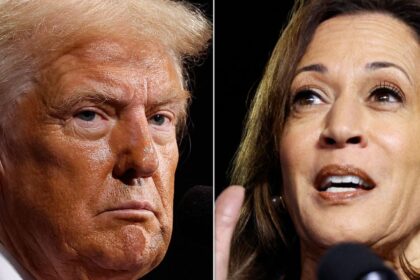 Kamala Harris Reacts To Donald Trump's 'Father Of IVF' Remark With A Searing Dig