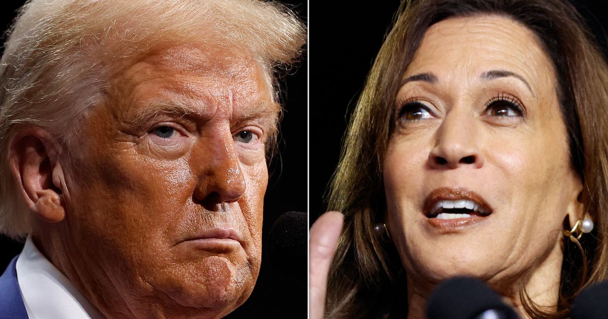 Kamala Harris Reacts To Donald Trump's 'Father Of IVF' Remark With A Searing Dig