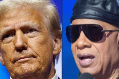 Stevie Wonder Expertly Calls Out Donald Trump For Insulting Detroit