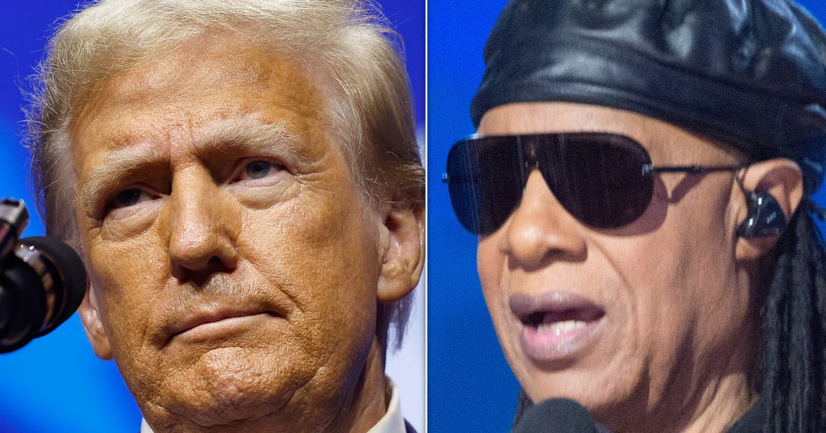 Stevie Wonder Expertly Calls Out Donald Trump For Insulting Detroit