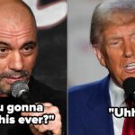 Joe Rogan Quizzes Trump On Election Fraud Claims: 'Give Me Some Examples'