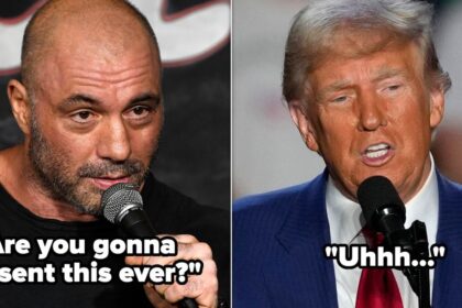 Joe Rogan Quizzes Trump On Election Fraud Claims: 'Give Me Some Examples'