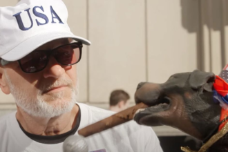 Triumph The Insult Comic Dog Burns Trump Fan With Fake Apology Punch Line