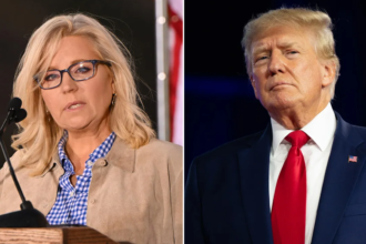 Trump calls Liz Cheney a ‘low IQ war hawk’ after endorsement of Harris