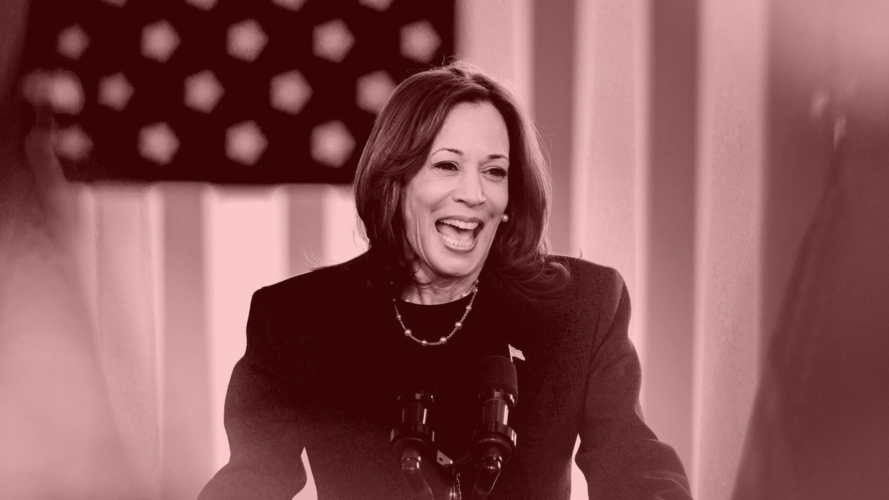 Fox News & Everything After: Inside Kamala Harris’s Eleventh Hour Media Blitz