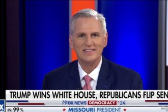 Kevin McCarthy says Trump’s victory, Republicans flipping Senate 'came down to the issues