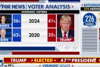 Fox News Voter Analysis reveals Trump's stunning gains with Black, Latino voters