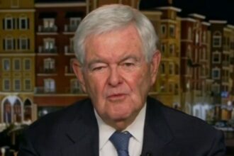 Newt Gingrich reveals what it was like for Trump to praise him during speech