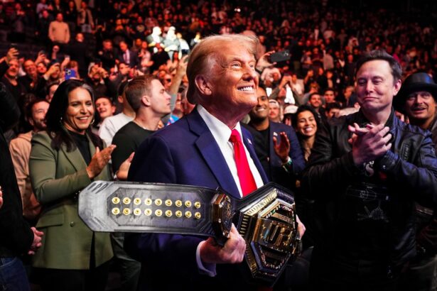 Donald Trump Returns To Madison Square Garden For UFC Fight, Flanked By Elon Musk and MAGA Allies