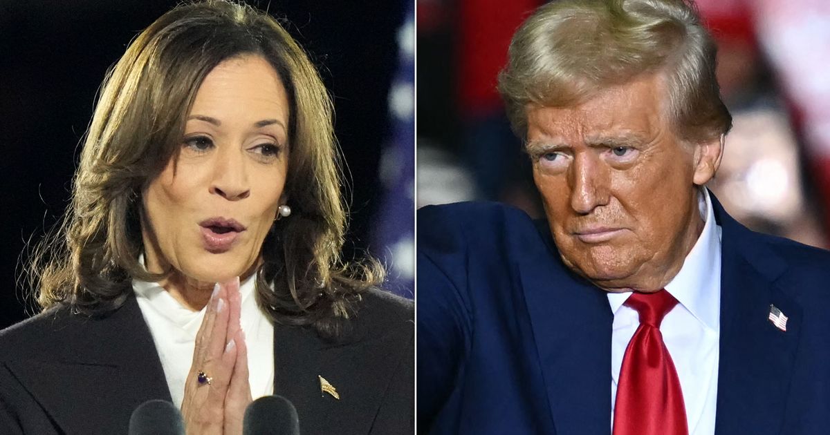 Kamala Harris Is Asked A Cheeky Question: 'How Often Do You Say… F**k Donald Trump?'