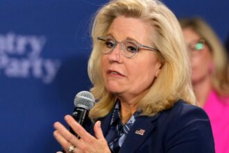 Liz Cheney Says Trump's Gun-Filled Threat Is 'How Dictators Destroy Free Nations'