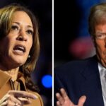 Harris Says Trump’s Comments About Liz Cheney Are ‘Disqualifying’