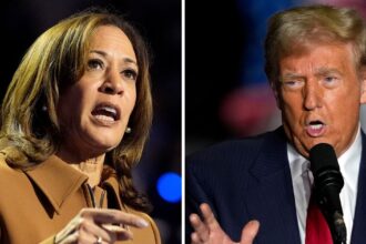 Harris Says Trump’s Comments About Liz Cheney Are ‘Disqualifying’