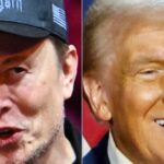 Elon Musk Explains What Convinced Americans Trump Is Just A 'Normal Person'