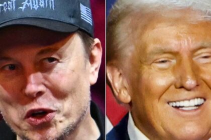 Elon Musk Explains What Convinced Americans Trump Is Just A 'Normal Person'