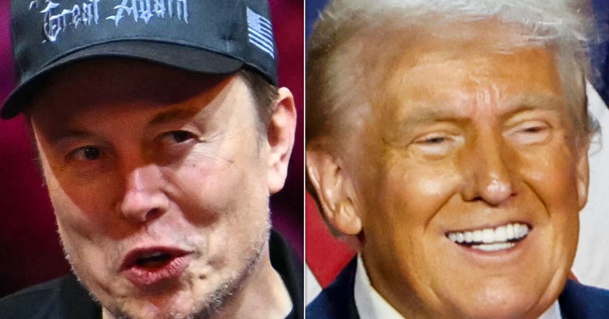 Elon Musk Explains What Convinced Americans Trump Is Just A 'Normal Person'