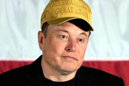 CNN Legal Analyst Predicts Musk Will Go 'Crazy' Running New 'DOGE' Effort