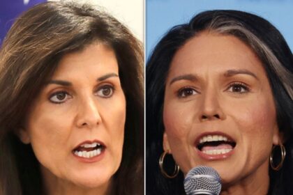 Nikki Haley Scorches Trump Pick Tulsi Gabbard Over Her 'Disgusting' 2017 Photo-Op