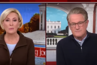 MSNBC’s Ratings Race To The Toilet Following Mika And Joe’s Meeting With Trump