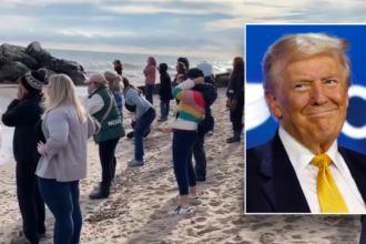 Wisconsin women unleash primal screams in protest of Trump win: video