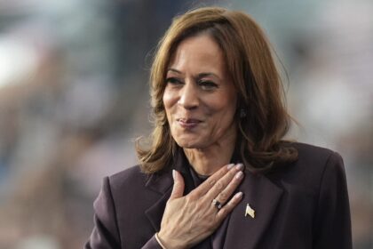 Could Vice President Kamala Harris make a run for California governor in 2 years?