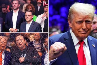 Trump flanked by top allies, cabinet picks at UFC 309: ‘USA, USA’