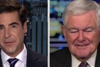 Newt Gingrich: Trump wants to be on offense