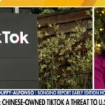 Managerial state does not like TikTok because they cannot control it: Evita Duffy-Alfonso