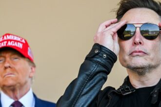 Elon Musk Stays Glued To Trump's Side At Mar-A-Lago Thanksgiving