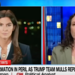 'Would Be A Big Story': Maggie Haberman Digs Into Trump's Thinking On Ron DeSantis