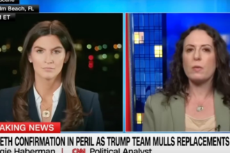 'Would Be A Big Story': Maggie Haberman Digs Into Trump's Thinking On Ron DeSantis