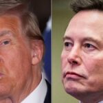 ‘Incredibly Risky’: Reporter Suggests Elon Musk Is Entering Dangerous Waters With Trump