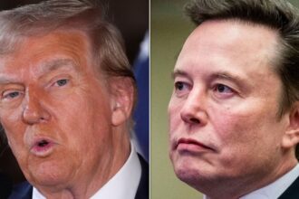 ‘Incredibly Risky’: Reporter Suggests Elon Musk Is Entering Dangerous Waters With Trump