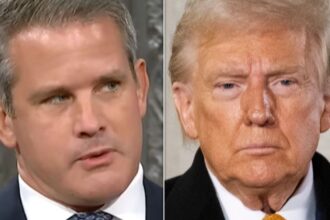 Adam Kinzinger Delivers Bluntest Of Responses To Trump Threat Question