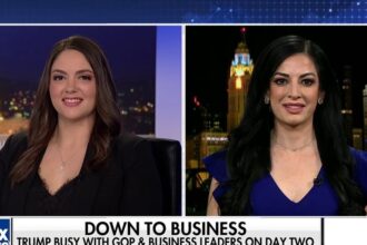 GOP faces ‘complicating factors’ in aim to push through Trump’s agenda, Amber Duke says