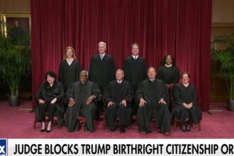 President Trump desires to change birthright citizenship through the courts