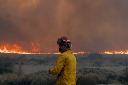 In California Fires, Trump Blames Newsom for Withholding Water. Experts Disagree.