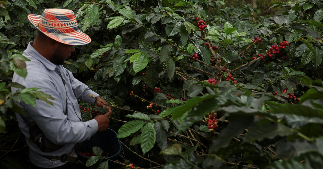 Trump’s Threatened Tariffs on Colombia Put Trade in Oil, Coffee and Flowers at Risk