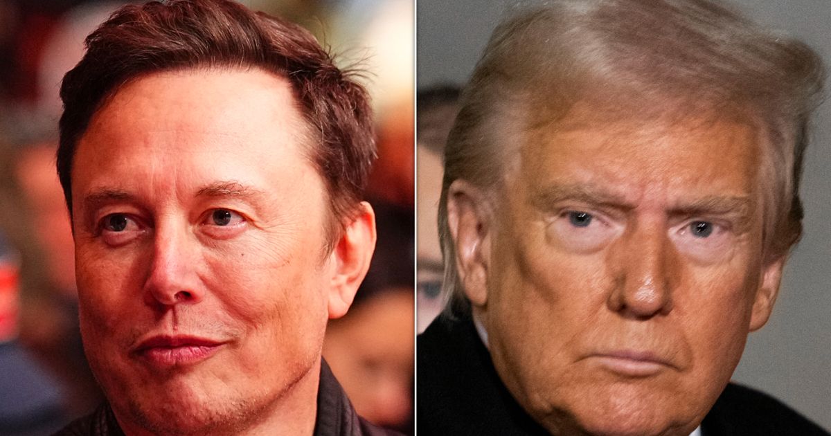 NYT Report Describes Elon Musk As Trump's 'Tenant,' And Critics Have Thoughts