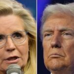 Liz Cheney Shuts Down Trump's 'Malicious Lies' With Blunt Jan. 6 Reminder