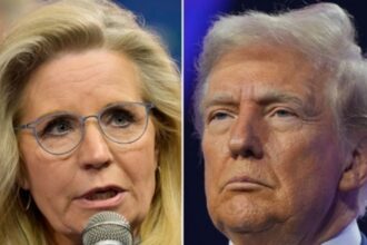 Liz Cheney Shuts Down Trump's 'Malicious Lies' With Blunt Jan. 6 Reminder