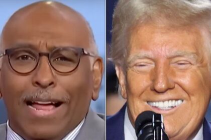 'They're Lying': Michael Steele Sounds Alarm On 1 Thing Trump Appointees Keep Saying